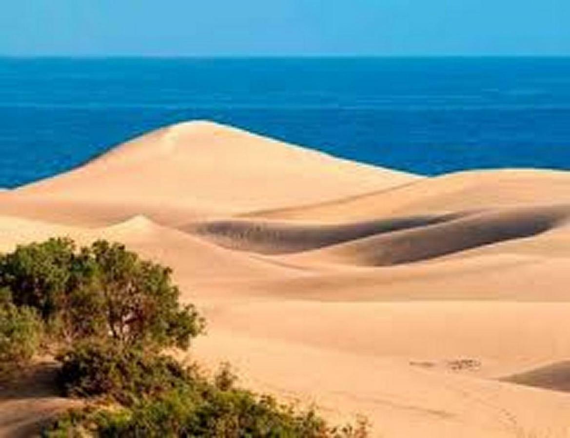 Bungalow Dunas&Sea Maspalomas Maspalomas  Bagian luar foto